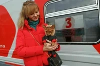 В Госдуме создадут рабочую группу по регулированию перевозки животных