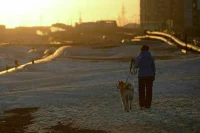 В городах российской Арктики хотят поставить теплые остановки