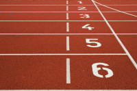 Комитет Госдумы поддержал обучение взрослых по программам спортподготовки