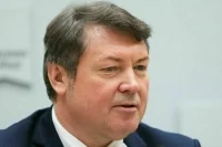 В ОП РФ считают, что пособие для многодетных семей нужно дополнить универсальным
