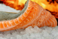 Кабмин не поддержал идею передавать красную рыбу на корм собакам