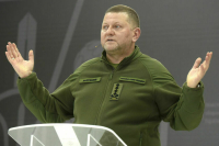 СМИ и политики сообщили об отставке главкома ВСУ Залужного