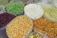 На ввоз некоторых семян из недружественных стран установлены квоты