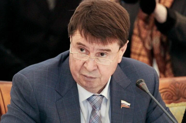Цеков назвал неприемлемыми условия Японии для мирного договора с Россией