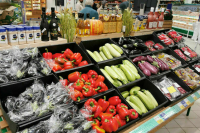 Законопроект о фудшеринге направлен в Правительство