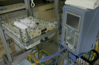 Неонатальный скрининг прошли 99 процентов новорожденных в 2023 году