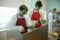 Строгого разделения уроков труда в зависимости от пола учеников не будет