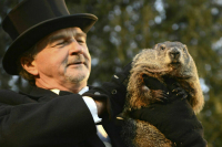 Сурок Фил поделился прогнозом на весну