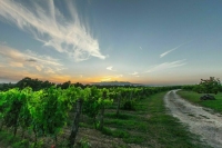 Il Messaggero: Протестующие итальянские аграрии перекрыли главную трассу