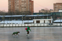 В Москве продлили &laquo;желтый&raquo; уровень погодной опасности до вечера 6 февраля