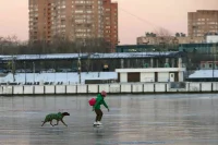 В Москве продлили &laquo;желтый&raquo; уровень погодной опасности до вечера 6 февраля