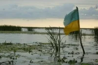 Депутат рады Шевченко: Залужный согласился стать послом в Великобритании