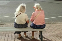 Чаплин напомнил о льготах для работающих пенсионеров