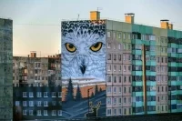 Арктическая ипотека может стать доступной для бойцов СВО