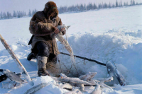 Коренным народам могут разрешить ловить рыбу без подачи заявок