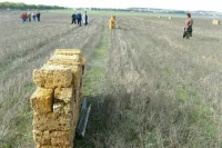 Поиск и предоставление россиянам земельных участков предложили оптимизировать