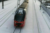 Депутат Толмачев пояснил, зачем вводить уголовное наказание за столкновение с поездом