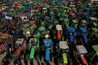 Греческие фермеры проведут массовую забастовку в Афинах