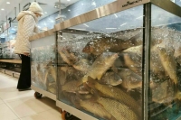 Госдума упростила получение вычета за переработку рыбы