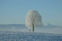В Минвостокразвития рассказали, зачем расширять Арктическую зону