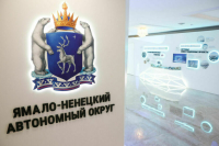 Оленей на Ямале больше, чем людей, но это пока