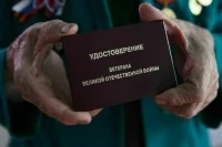 Ликвидаторов нацистских недобитков предложили приравнять к ветеранам ВОВ
