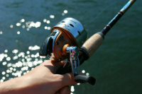 Депутат Хамзаев предложил запретить продажу электроудочек