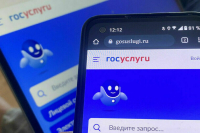 Гражданам предлагают дать возможность отзывать мэров через госуслуги