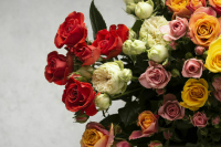 Расцветают цены: на сколько подорожают розы к 8 Марта