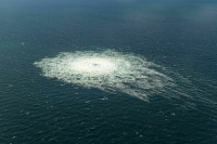 Перминов рассказал, что Дания идет на поводу у США в вопросе «Северных потоков»