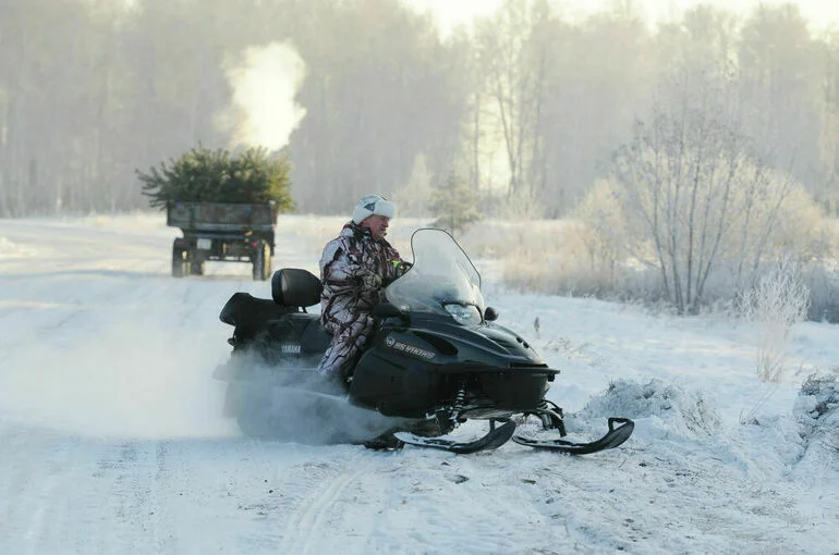 Депутаты предложили позволить лесхозам зарабатывать