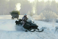 Депутаты предложили позволить лесхозам зарабатывать