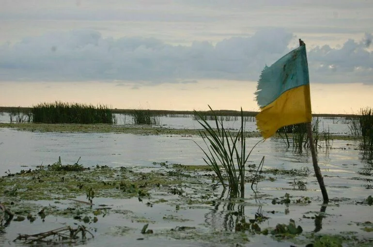 Союзники Украины не прочь устроить ей экономическую блокаду