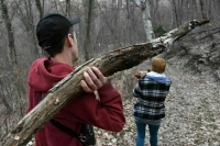 В Госдуме предложили упростить сбор валежника для россиян