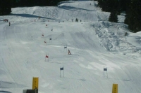 В Минспорте пообещали разобраться в инциденте с травмированием лыжниц в Сочи