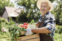 В Госдуме рассказали, во сколько обойдется содержание дачи в 2024 году