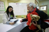 На выборы приходят прямо из ЗАГСа и с домашними животными