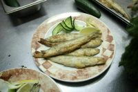 Корюшка-2024 станет доступнее