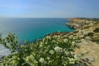 Из крымской весны в крымское лето