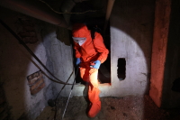 Когда пора вызывать дезинсектора и дератизатора