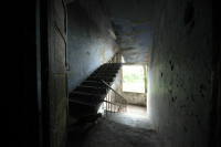 С тараканами и крысами в жилых домах будут бороться по-новому