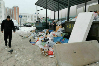 Просроченные продукты предложили отдавать на корм животным после переработки