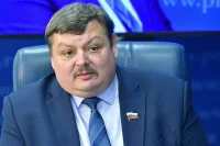 Колбин рассказал, как должны организовывать охрану на массовых мероприятиях