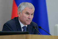 Володин: В референдуме по вопросу смертной казни нет необходимости