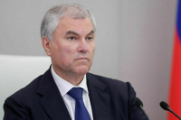 Володин предложил создать рабочую группу по анализу миграционного законодательства