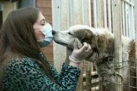 Уголовники не смогут руководить волонтерами