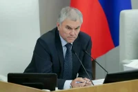 Спикер Госдумы поручил проработать вопросы безопасности на массовых мероприятиях