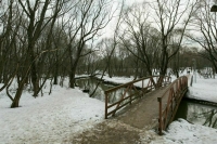 Мишустин: В прошлом году привели в порядок около 10 тысяч дворов