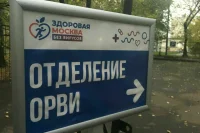 Попова: Подъем заболеваемости ОРВИ сойдет на нет к концу апреля