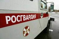 Росгвардейца, задержавшего напавшего на губернатора Чибиса, наградят